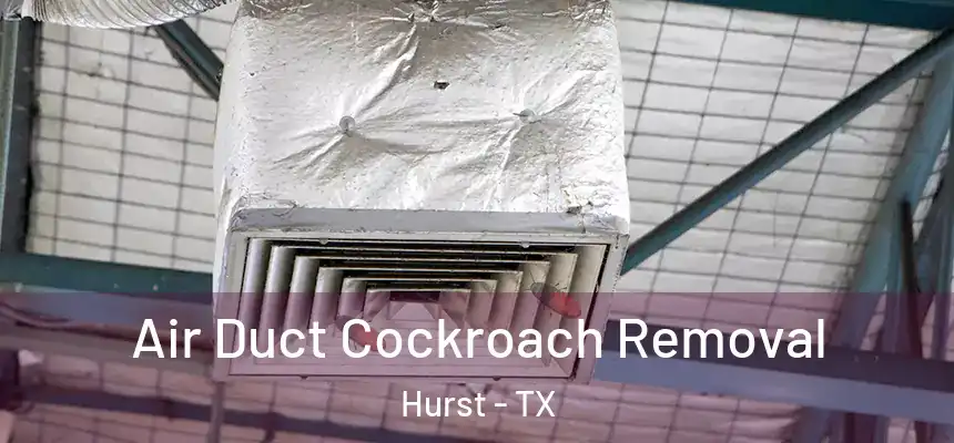 Air Duct Cockroach Removal Hurst - TX