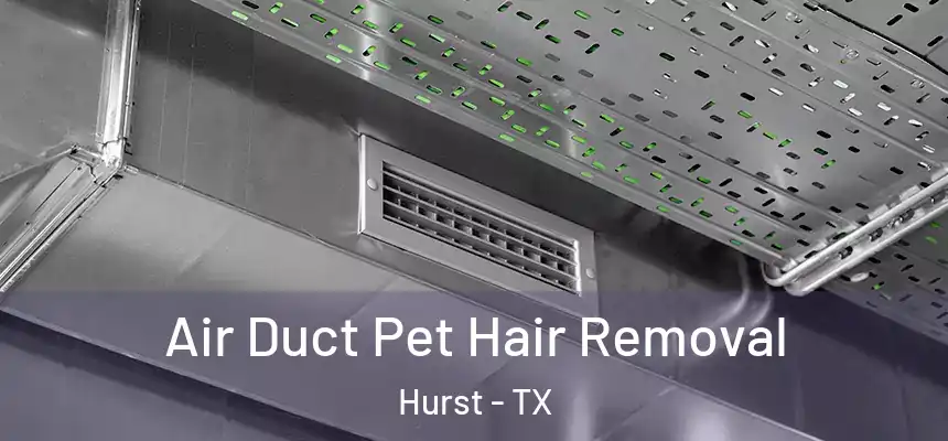  Air Duct Pet Hair Removal Hurst - TX