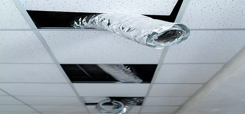 Affordable HVAC Sanitizing After Pest Removal in Hurst