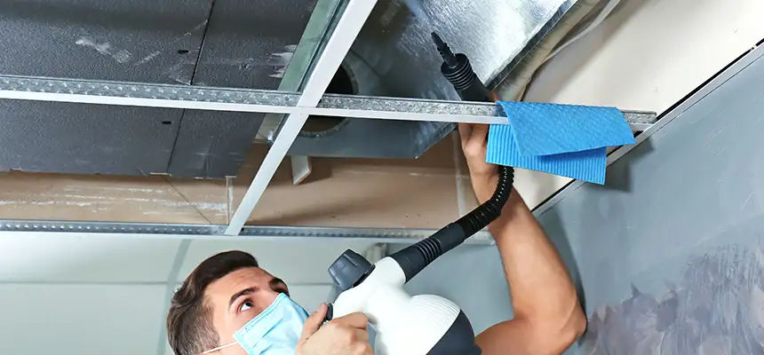Our Air Duct Rodent Removal Services in Hurst, TX