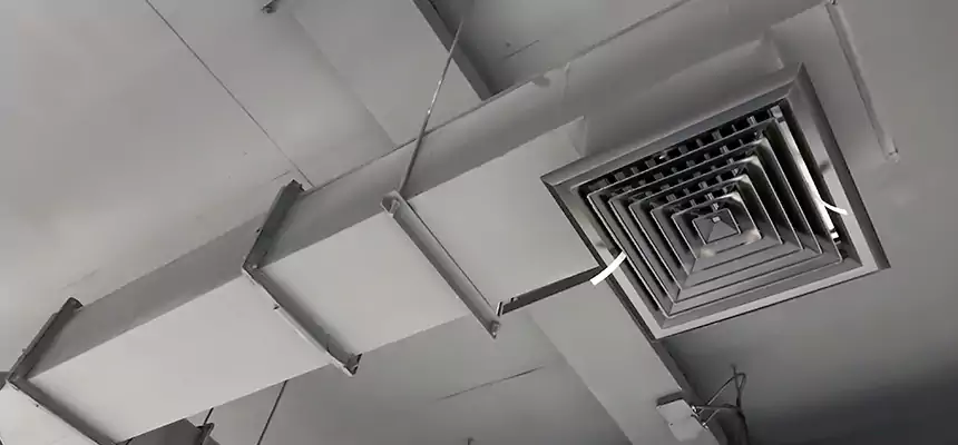 Our Rodent Droppings In Vents Services in Hurst, TX