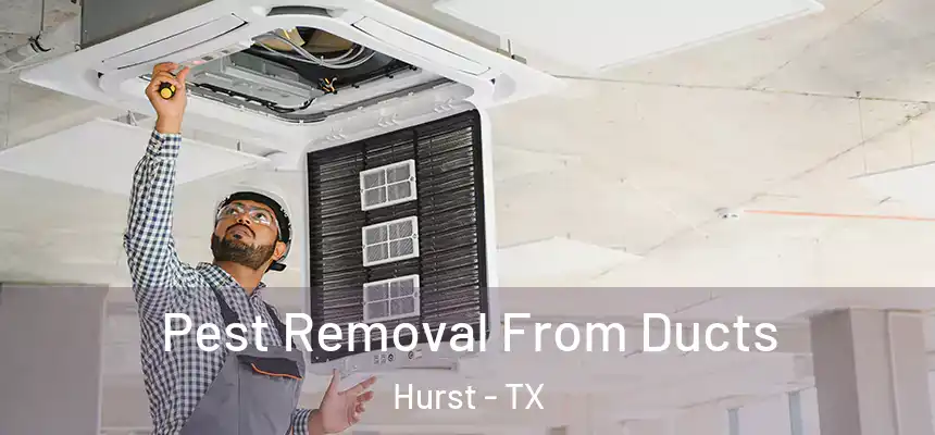  Pest Removal From Ducts Hurst - TX