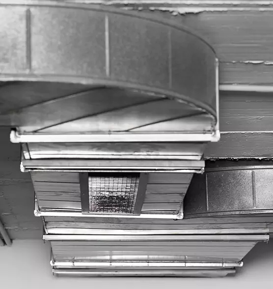 Professional Air Duct Pest Removal in Hurst, TX